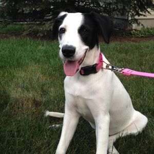 Meet your Posher, Annabel